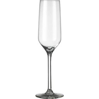 👉 Champagne glas One Size transparant 6x Champagneglazen/flutes Carre 220 ml - 22 cl glazen drinken Champagneglazen van 8720147718904
