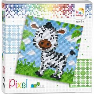 👉 GeenKleur Pixelhobby Classic Zebra 12x12 cm 8718468844013