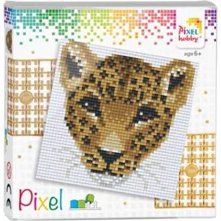 👉 GeenKleur Pixelhobby Classic Luipaard 12x12 cm 8718468844020