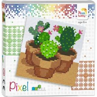 👉 GeenKleur Pixelhobby Classic Cactussen 12x12 cm 8718468744009