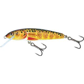 👉 Rainbow Trout Salmo Minnow Floating - Plug 5cm 5902335372157