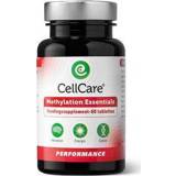 👉 Cellcare Methylation essentials 60tb 8717729084519