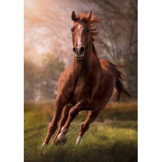 👉 Legpuzzel multicolor karton One Size meerkleurig Clementoni The Horse 1500 stukjes 8005125318117