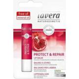 👉 Lippenbalsem Lavera Lippenbalsem/lip balm protect & repair 4.5g 4021457625185