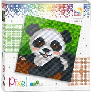 👉 GeenKleur Pixelhobby Classic Panda 12x12 cm 8718468144007