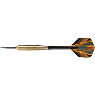 👉 Dartpijl brass messing One Size meerkleurig kinderen 2x Set van 3 dartpijlen Club 19 grams - Darten/darts sport artikelen pijltjes Kinderen/volwassenen 8720276608916