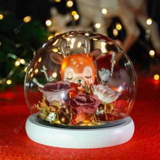 👉 Lipstick Pink Valentine's Day Gifts Preserved Flowers Borosilicate Glass Cover Finished Product Christmas Gift Holiday Party Decoration