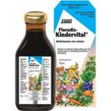 👉 Kinderen Salus Floradix kindervital fruity glutenvrij 250ml 4004148336324