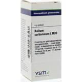 👉 Kalium VSM carbonicum LM30 4g 8728300932501