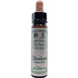 Ainsworths Hornbeam Bach 10ml 5032587000611