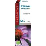 👉 Fytostar Echinacea druppels bio 100ml 5400713753456