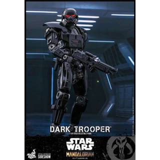 👉 Mannen Hot Toys Star Wars The Mandalorian Action Figure 1/6 Dark Trooper 32 cm 4895228607355