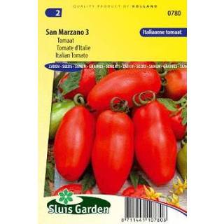 Tomaat San Marzano 3