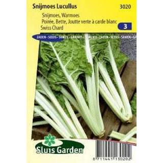 👉 Snijbiet Lucullus vanaf 500 gram