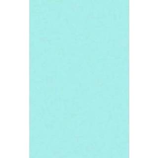 👉 Tafellaken One Size blauw Mintblauw tafellaken/tafelkleed 138 x 220 cm herbruikbaar 8719538428898