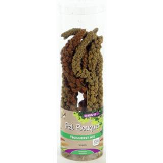 👉 Boeket Esve Pet Bouquet Koker Trosgierst - Vogelsnack 8715001331207