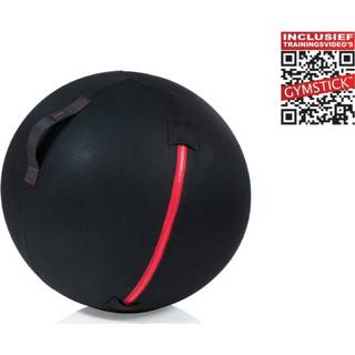 👉 Gymstick Office Ball - 65 cm Met Online Trainingsvideo's 6430062511802