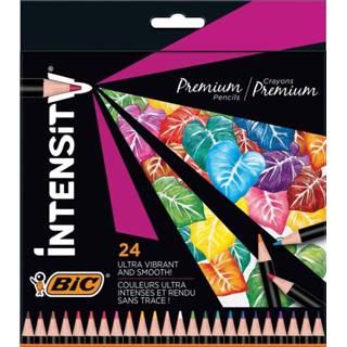 👉 Kleurpotlood Bic Intensity Wood, etui van 24 stuks 3086123653207