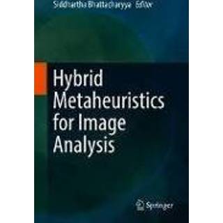 👉 Engels Hybrid Metaheuristics for Image Analysis 9783319776248