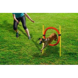 👉 Hoepel Beeztees Agility Set - Hondenspeelgoed Dia. 60 cm