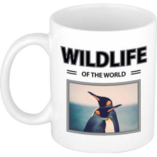 👉 Volwassenen Pinguin mok met dieren foto wildlife of the world