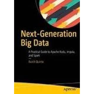 👉 Engels Next-Generation Big Data 9781484231463