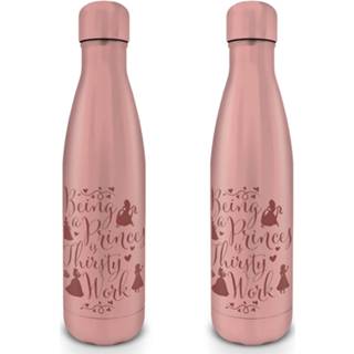 👉 Vrouwen Disney Princess (Thirsty Work) Metal Drinks Bottle 5050574255530