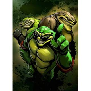 👉 Male Battletoads Limited Edition Art Print 5060662461415