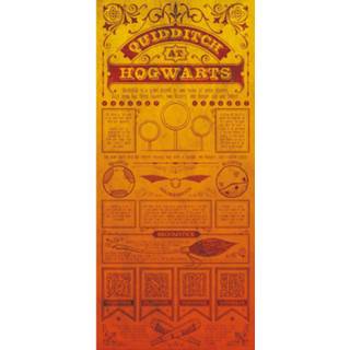 👉 Unisex Harry Potter Premium Limited Edition Art Print : Quidditch Rules 5060662464249