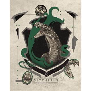 👉 Unisex Harry Potter Art Print : Slytherin Crest 5060662464348