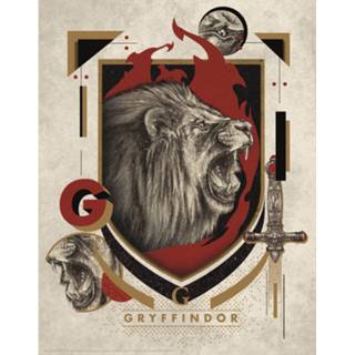 👉 Unisex Harry Potter Art Print : Gryffindor Crest 5060662464379