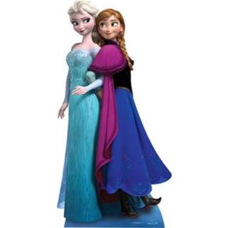 👉 Unisex Disney Frozen Anna and Elsa Kartonnen Figuur 5055789201983