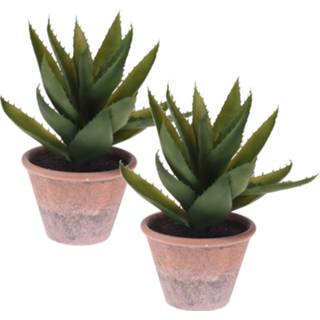 👉 Kunstplant Set van 2x stuks cactus kunstplanten in terracotta pot 33 cm