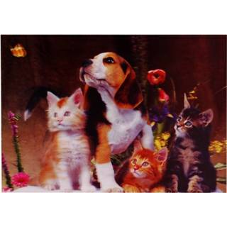 👉 Poster meisjes zwart 3d Hond en kittens-