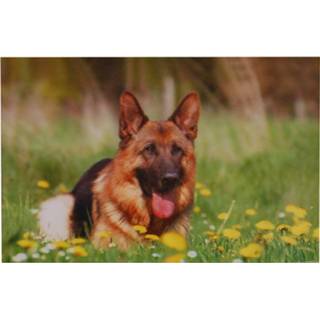 👉 Poster meisjes zwart 3d Duitse Herder-