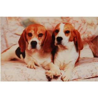 Poster meisjes zwart 3d Beagles-