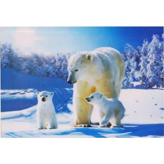 Poster meisjes zwart 3d ijsberen-