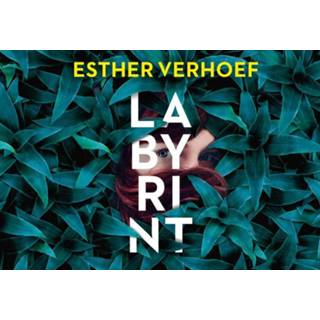 👉 Nederlands Labyrint - De verhalen 9789049807801