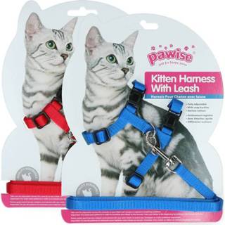 👉 Pawise Kitten Harness Leash-Red