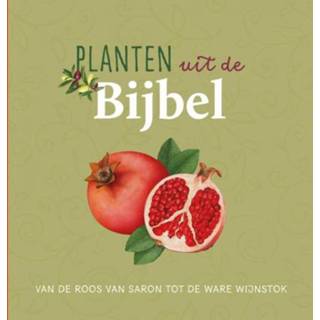 👉 Planten uit de Bijbel - Judith Dinsmore (ISBN: 9789043534604)