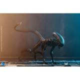 👉 HIYA Toys Alien 3 Look Up Dog Exquisite Mini 1/18 Scale Figure 6957534201257