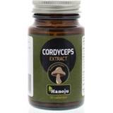 👉 Hanoju Cordyceps paddenstoel 400 mg 90tb 8718164781094