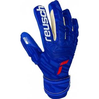 👉 Blauw goud senior gras Reusch Attrakt Freegel Gold 4060485274286