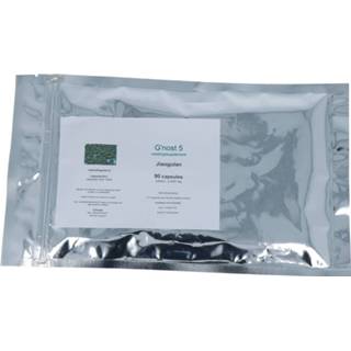 👉 Jiaogulan gezondheid G'nost 5 Capsules 8717953145055