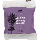 👉 Hand zeep lavendel Urtekram handzeep bio 175g 5701058009889