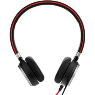 👉 Jabra Evolve 40 MS 706487015000