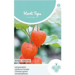 👉 Bloemzaad oranje tinten Hortitops Bloemzaden - Lampionplant (Physalis) 8711117543503