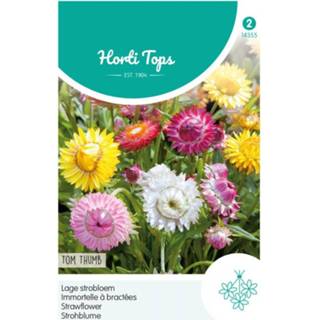 👉 Bloemzaad gemengde tinten Hortitops Bloemzaden - Strobloem (Helichrysum) 8711117435501