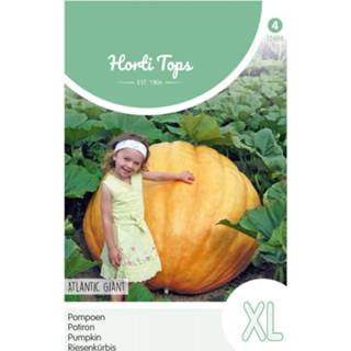 👉 Hortitops Pompoenen Cucurbita maxima Atlantic Giant - Kalebas/Pompoen 2,5 gram 8711117248606