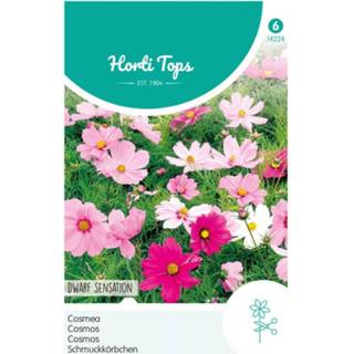 👉 Bloemzaad gemengde tinten Hortitops Bloemzaden - Cosmea 8711117422402